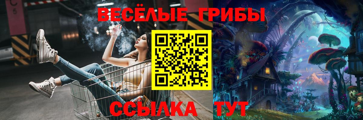 Псилоцибиновые грибы мицелий Альметьевск