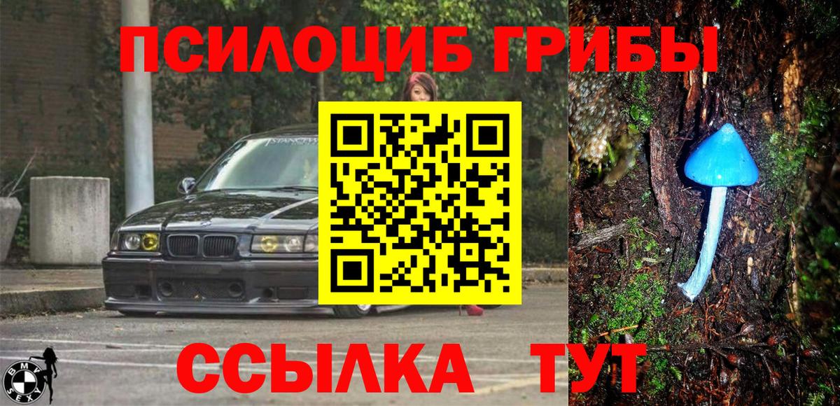 Галлюциногенные грибы Psilocybe Альметьевск